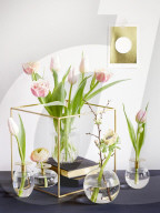 Spring Flowers