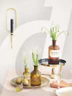 Spring Flowers