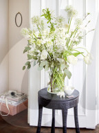 Spring Flowers