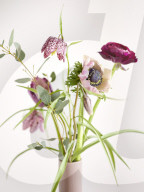 Spring Flowers