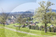View from the southeast of a farm with meadow with scattered fruit trees