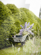 Tom Stuart-Smith und sein Privatgarten „The Barn Garden“ nördlich von London