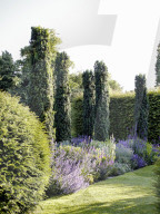 Tom Stuart-Smith und sein Privatgarten „The Barn Garden“ nördlich von London