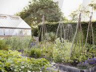 Tom Stuart-Smith und sein Privatgarten „The Barn Garden“ nördlich von London