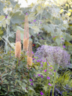 Tom Stuart-Smith und sein Privatgarten „The Barn Garden“ nördlich von London