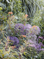 Tom Stuart-Smith und sein Privatgarten „The Barn Garden“ nördlich von London