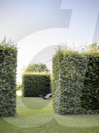 Tom Stuart-Smith und sein Privatgarten „The Barn Garden“ nördlich von London