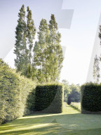 Tom Stuart-Smith und sein Privatgarten „The Barn Garden“ nördlich von London