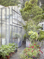 Pelargonien: Schätze in der Klostergärtnerei Maria Laach
