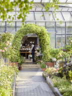 Pelargonien: Schätze in der Klostergärtnerei Maria Laach