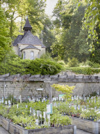 Pelargonien: Schätze in der Klostergärtnerei Maria Laach