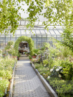 Pelargonien: Schätze in der Klostergärtnerei Maria Laach