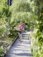 Pelargonien: Schätze in der Klostergärtnerei Maria Laach