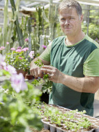 Pelargonien: Schätze in der Klostergärtnerei Maria Laach