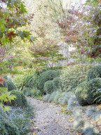 Der „Secret Garden“ des Ehepaars van de Poel