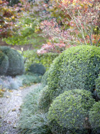 Der „Secret Garden“ des Ehepaars van de Poel