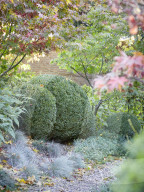 Der „Secret Garden“ des Ehepaars van de Poel