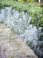 Der „Secret Garden“ des Ehepaars van de Poel