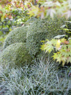Der „Secret Garden“ des Ehepaars van de Poel