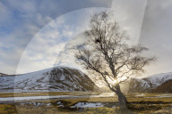 Sundown in the Valley of Strathdearn, Scotland 