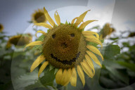 FEATURE - Pix of the Day: Bilder des Tages