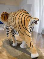FEATURE - Pix of the Day: Bilder des Tages