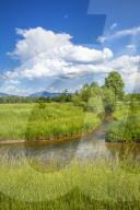 Creek Glan nearby Salzburg