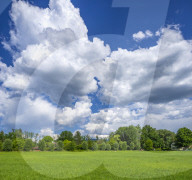Meadow nearby Salzburg 