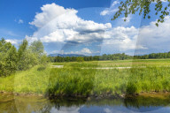 Creek Glan nearby Salzburg
