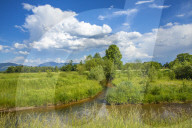 Creek Glan nearby Salzburg