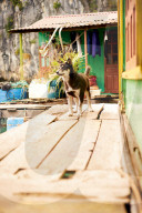 Holidays in Vietnam
