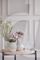 Antique Pink Interior