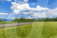 Chives Field in the Area of Salzburg