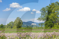 Fields in the Area of Salzburg
