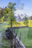 Hiking Path in the Alps