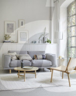 Scandinavian Style Interior 