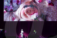 PEOPLE - Die Muppets live in der O2 Arena in London