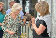 PEOPLE - Camilla feiert Geburtstag auf den Isles of Scilly