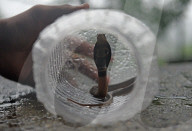 FEATURE - Pix of the Day: Bilder des Tages