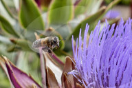 FEATURE - Pix of the Day: Bilder des Tages