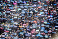 FEATURE - Pix of the Day: Bilder des Tages