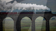 FEATURE - Pix of the Day: Bilder des Tages
