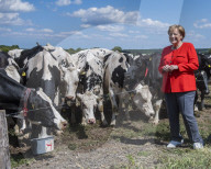 NEWS - Angela Merkel besucht eine Milchfarm in Nienborstel