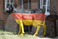 NEWS - Angela Merkel besucht eine Milchfarm in Nienborstel