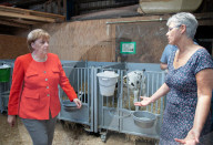NEWS - Angela Merkel besucht eine Milchfarm in Nienborstel