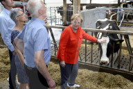 NEWS - Angela Merkel besucht eine Milchfarm in Nienborstel