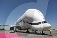 NEWS - Riesenvogel ist auch ein Wal: Jungfernflug des Airbus Beluga XL