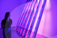 NEWS - London: Jenny Holzer in der Tate Modern