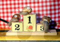 FEATURE - Rasendschnell: Schnecken Wettrennen
