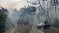 NEWS - Waldbrände in Griechenland